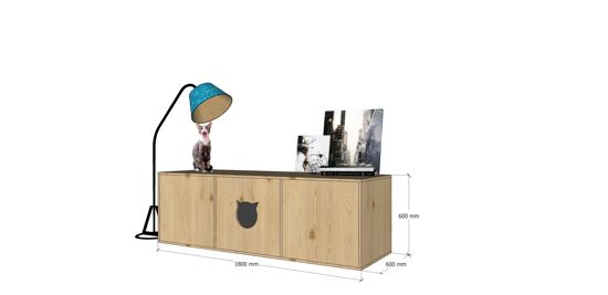 Koc╠Îoc╠Îi╠Ü Za╠Üchod